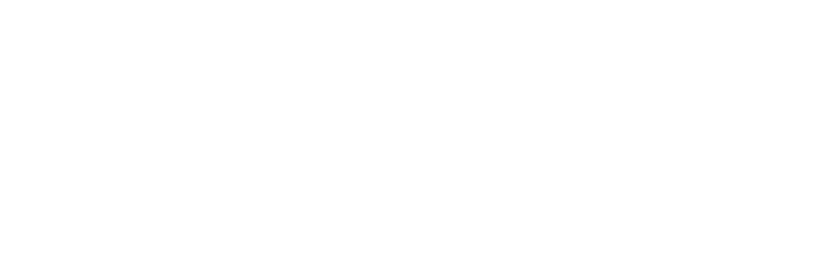 Logo Nobel und Company und weiss